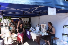 Dratenicke-Choltice-005