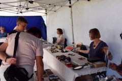 Dratenicke-Choltice-008