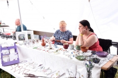 Dratenicke-Choltice-011